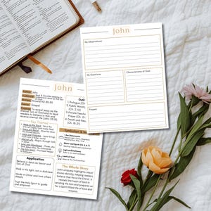 May include: Two white paper study guides for the Book of John with tan headers and borders. One sheet features sections for observations, questions, and prayers. The other sheet contains an overview of the author, audience, and key themes.
