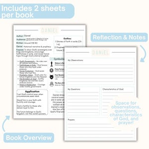 May include: Two white paper sheets for a book study on Daniel. The first sheet provides a book overview with author, audience, genre, purpose, key themes, and symbolism. The second sheet features lined sections for observations, questions, characteristics of God, and prayers.