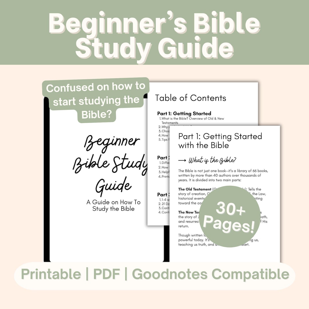 Beginner Bible Study Guide, How to Study the Bible, New Believers