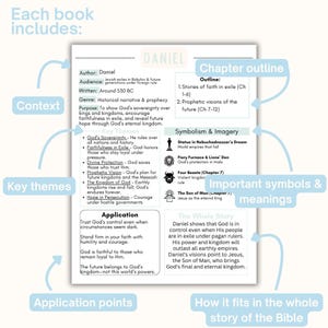 May include: A white informational study sheet for the Book of Daniel with black text, featuring sections for context, chapter outline, key themes, symbolism and imagery, application points, and the whole story, with light blue labels and arrows.