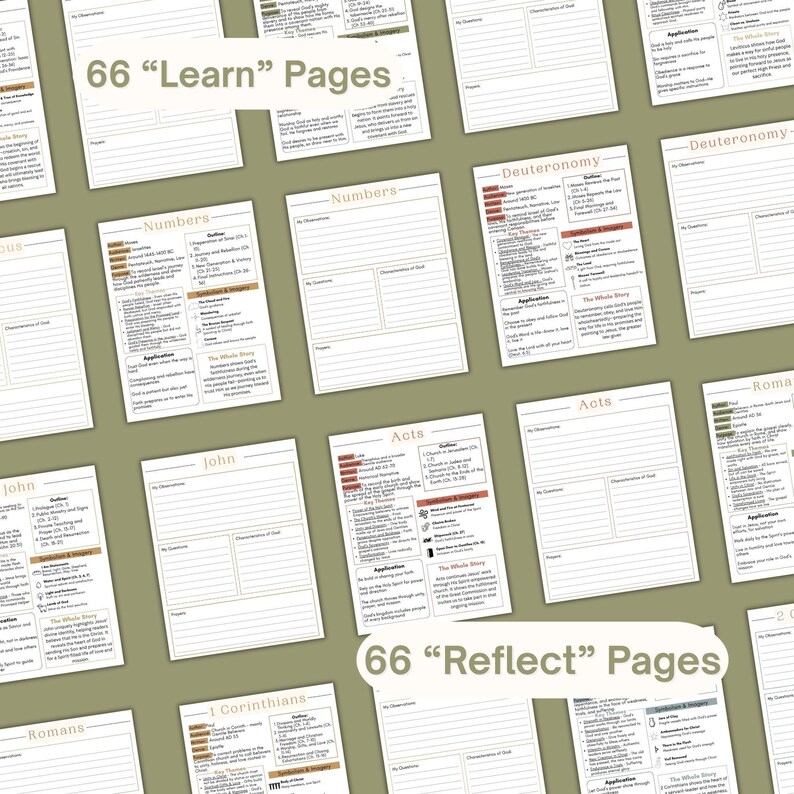 May include: A collection of Bible study worksheets featuring headers for books like Numbers, Deuteronomy, John, Acts, and Romans. The pages include sections for observations, questions, and characteristics of God, with text overlays stating 66 Learn Pages and 66 Reflect Pages.