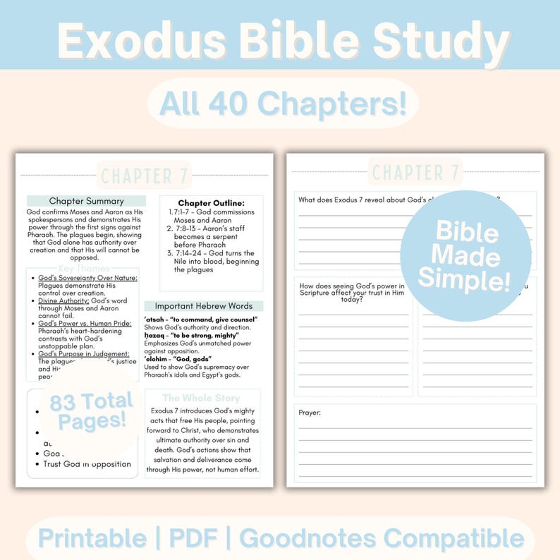 Exodus Bible Study Overview Printable Tip Ins Bible Chapter Study Guide ...