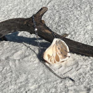 May include: A seashell pendant necklace with a silver chain. The pendant is a cream-colored shell with intricate patterns. The necklace is displayed on a piece of driftwood against a white, sandy background.
