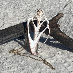 May include: A handcrafted seashell pendant necklace. The pendant is a natural, cream-colored shell with brown and pink accents, suspended from a delicate gold-colored chain. The necklace is displayed on a sandy surface with a piece of driftwood.