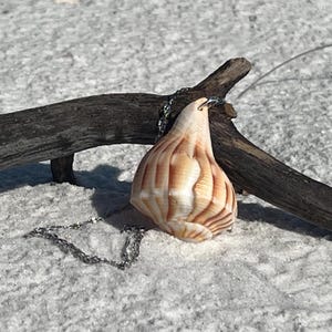 May include: A seashell pendant necklace with a silver chain. The pendant is a light brown and white seashell with vertical ridges. The necklace is resting on a sandy surface with a piece of driftwood.