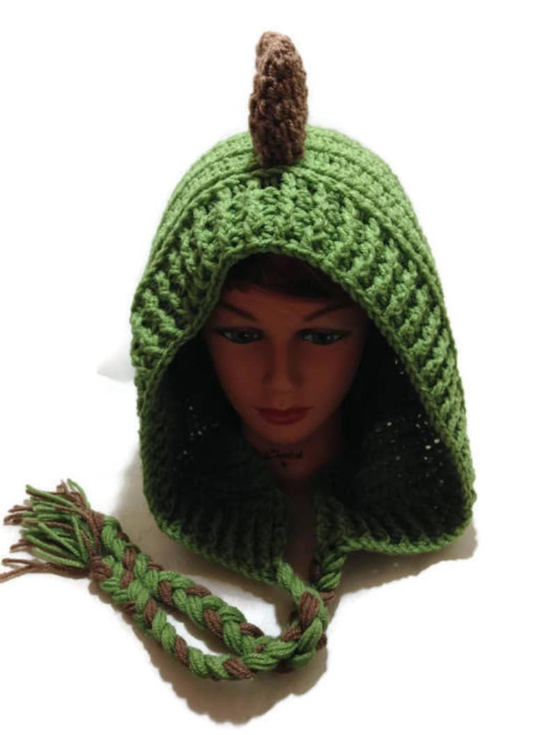 May include: Green crocheted hooded hat with a brown crocheted dinosaur tail on top. The hat has a long brown and green braided tie.