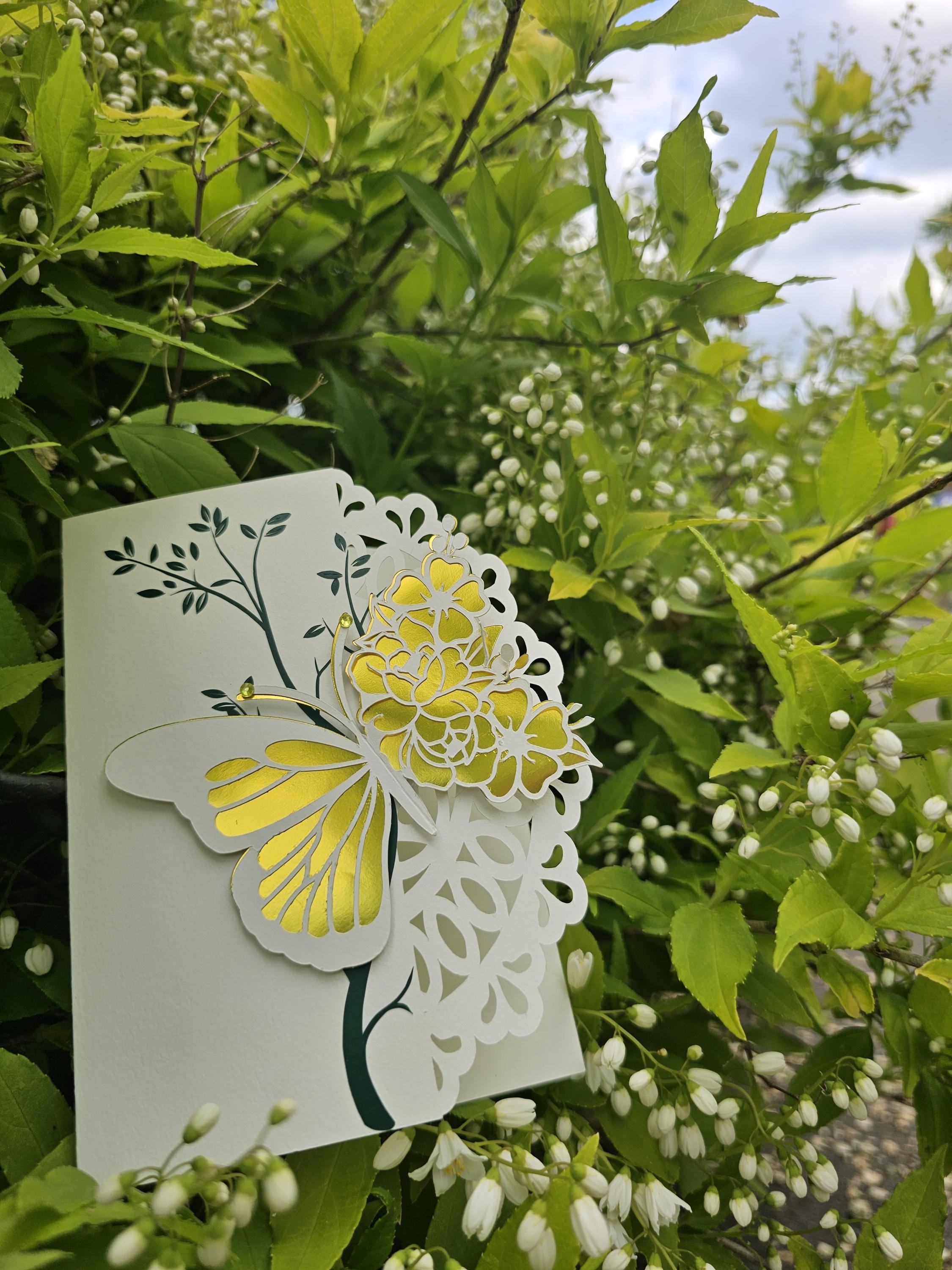 Butterfly Greeting Card