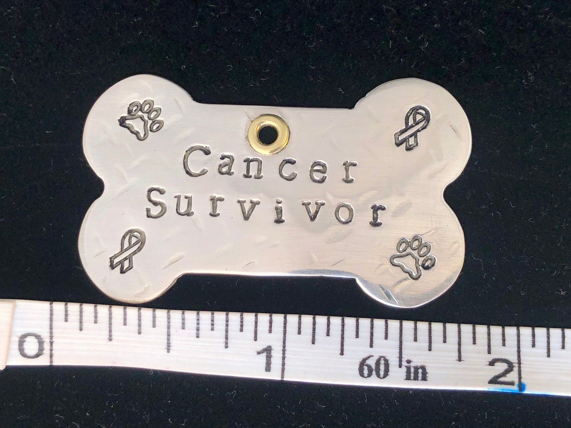 Dog Cancer Survivor Sterling Silver Pet Tag Custom Etsy