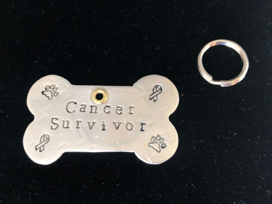 Dog Cancer Survivor Sterling Silver Pet Tag Custom Etsy