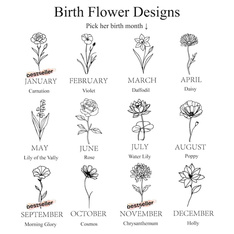 以下が含まれることがあります： 誕生月の花をそれぞれ表す12個の花の線画が描かれた白いグラフィック。上部には「Birth Flower Designs」と「Pick her birth month」の文字。各花には月と名前がラベル付けされています。