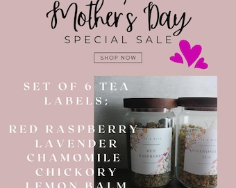 Juego de 6 etiquetas para té del Día de la Madre / Etiquetas de lujo suaves para despensa / Decoración minimalista y moderna para la cocina / Regalo de estética neutra para mamá