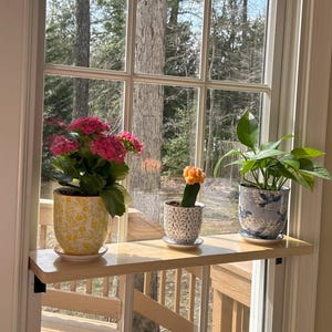 Window Plant Shelf for Indoor Garden