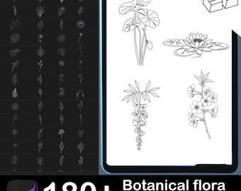 May include: A digital art product showcasing botanical flora Procreate stamps. The image displays a variety of line art floral designs, including leaves, flowers, and plants. The text reads "180+ Botanical flora Procreate Stamps". The product is displayed on a tablet.