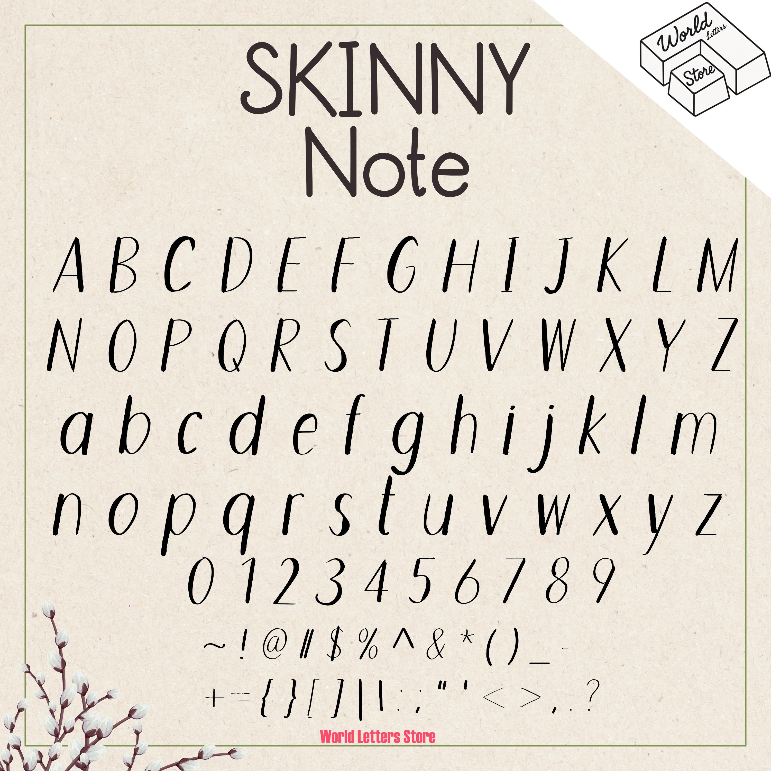 Skinny Notes Skinny Note Handwritten Font: Casual Marker Style (TTF File + PDF Guide ...