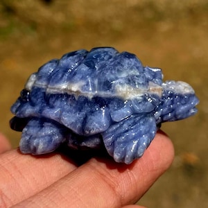 May include: A carved blue gemstone turtle figurine. The turtle has a detailed shell and head, with visible texture and color variations. The figurine is held on a finger, showcasing its size and craftsmanship.