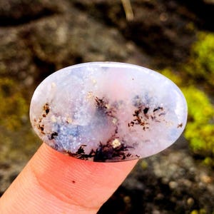 Dendritic Agate Oval Cabochon 23x15mm | Natural Scenic Agate Gemstone | Tree Moss Pattern Loose Jewelry Stone