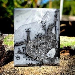 May include: A rectangular polished stone slab featuring a smooth, light gray surface with intricate, dark black dendritic inclusions that resemble branching tree patterns and a textured, rocky cluster of gray and white mineral fragments.