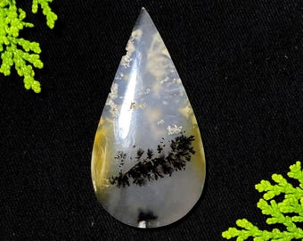 May include: A teardrop-shaped gemstone with a translucent, cloudy appearance. The stone features black, tree-like inclusions and yellow and white hues. The gemstone is set against a black background, with green foliage in the corners.