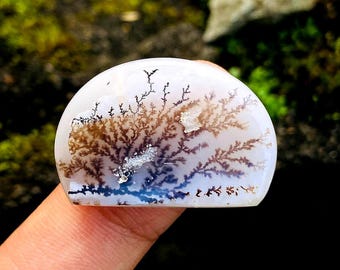 Dendritic Agate Cabochon | Natural Scenic Gemstone | Tree Pattern Loose Stone for Jewelry Making
