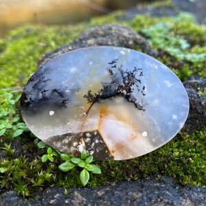 Shazar Scenic Dendrite Agate, Cabochon Natural Dendritic Agate, Gemstone for jewelry