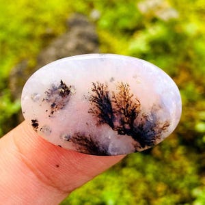 Dendritic Agate Oval Cabochon 23x15mm | Natural Scenic Agate Gemstone | Tree Moss Pattern Loose Jewelry Stone