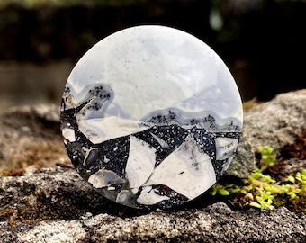 Puede incluir: Una piedra redonda y pulida con un patrón único. La mitad superior es de un blanco claro y nublado, que transiciona a un diseño de mosaico en blanco y negro en la parte inferior. La piedra está sobre un fondo natural y musgoso.