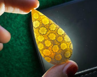 Fossil Coral Cabochons, Flower Pattern Gemstone, Jewelry Making (5 pcs)