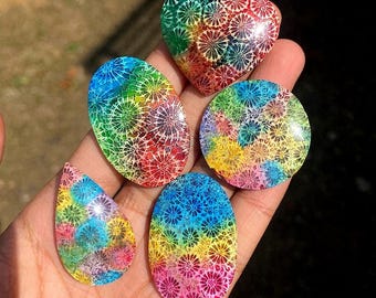 5 Dyed Fossil Coral Cabochon Bundle | Rainbow Natural Stone Set | Coral Fossil Jewelry Making Supplies Mixed Shapes