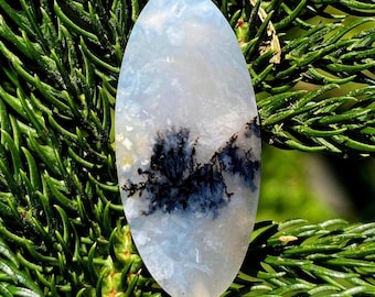 Shazar Scenic Dendrite Agate Cabochon Natural Dendritic Agate Gemstone for jewelry
