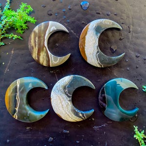 Può includere: Cinque pietre decorative a forma di mezzaluna. Le pietre presentano una varietà di colori, tra cui marrone, bianco, verde e blu. Le pietre sono disposte su una superficie scura con goccioline d'acqua e vegetazione.