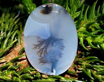 Shazar Scenic Dendrite Agate Cabochon Natural Dendritic Agate Gemstone for jewelry