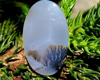 Shazar Scenic Dendrite Agate Cabochon Natural Dendritic Agate Gemstone for jewelry