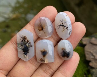 Rainbow Dendrite Agate Cabochon: Eye-Shaped Stone for Jewelry