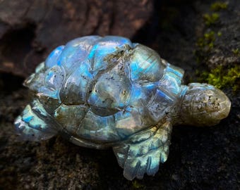 Tartaruga in labradorite intagliata a mano: decorazione curativa in cristallo di quarzo