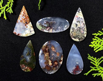 May include: Six polished gemstone cabochons in various shapes, including teardrop, oval, and triangular. The stones display a range of colors, including white, brown, green, and red, with unique patterns and textures. The background is black.