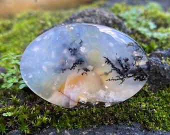 Shazar Scenic Dendrite Agate, Cabochon Natural Dendritic Agate, Gemstone for jewelry
