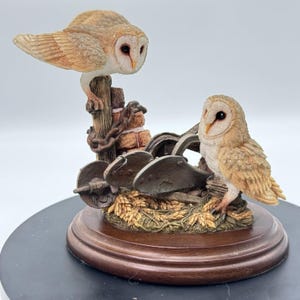 Country Artists Owls - Etsy