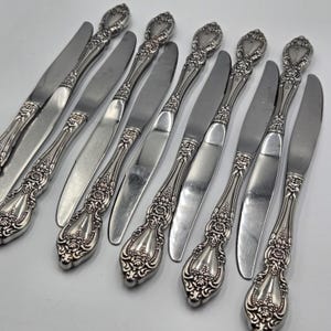 May include: A collection of silver-colored knives with ornate floral and scrollwork detailing on the handles. The blades are smooth and reflective. The knives are arranged in a slightly fanned-out pattern, suggesting a set for dining or serving.