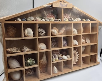 Vtg Trinket Shelf Curio Rare Shells Phuket Thailand 27 x 16x 2.5" Unique HTF