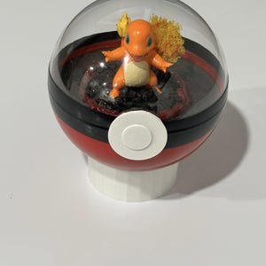 One of a kind Pokeball-Charmander