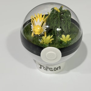 One of a kind Pokeball-Jolteon