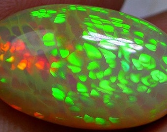 14ct GRI Certified Perfect Honeycomb Opal Completely Polished Pattern 5/5 FULL COLOR Ethiopia Welo Opal 23 x 14 x 9mm