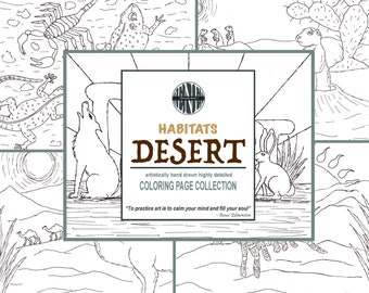 Desert Coloring Page Etsy