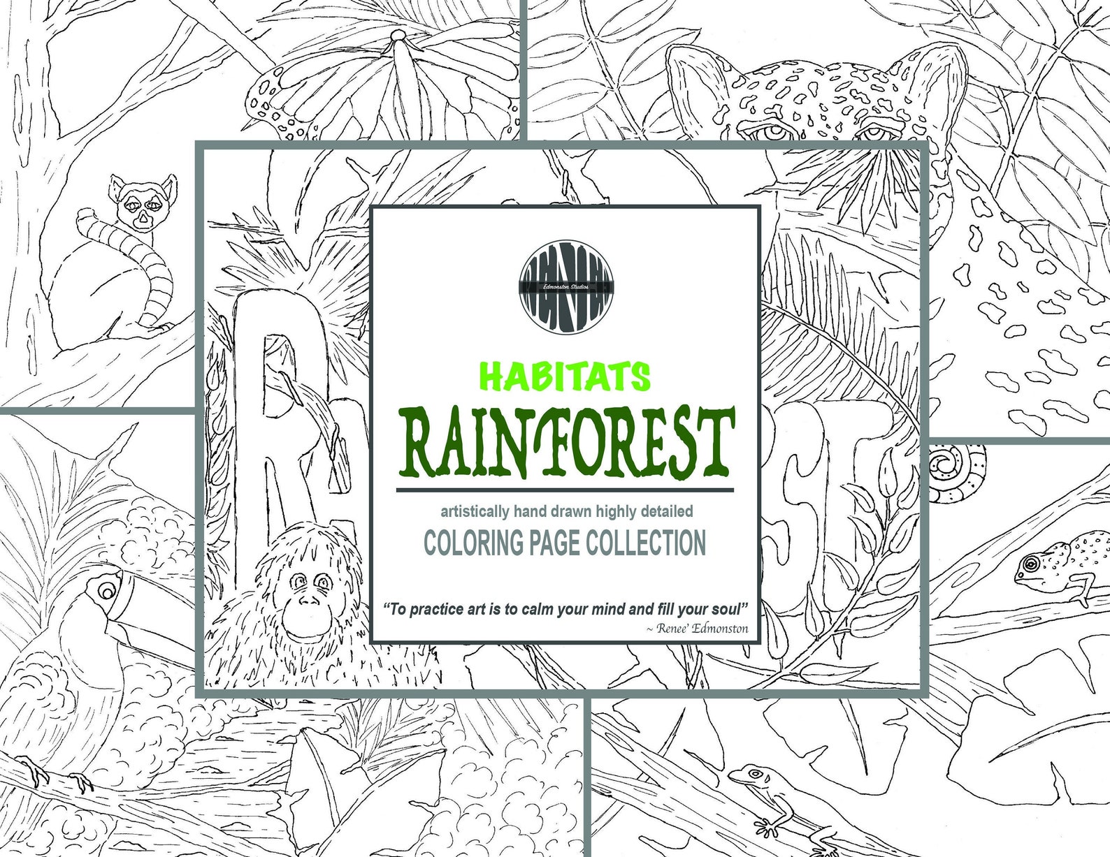 RAINFOREST HABITAT Coloring Pages, 5 Coloring Sheets, Printable, Hand Illustrated, Instant ...
