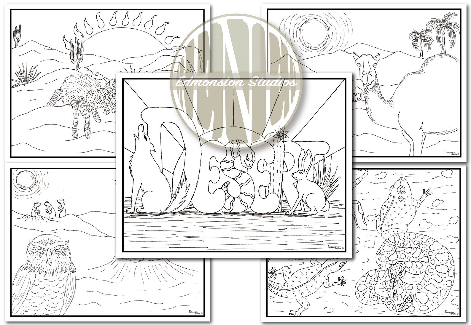 DESERT HABITAT Coloring Pages, 5 Coloring Sheets, Printable, Hand ...