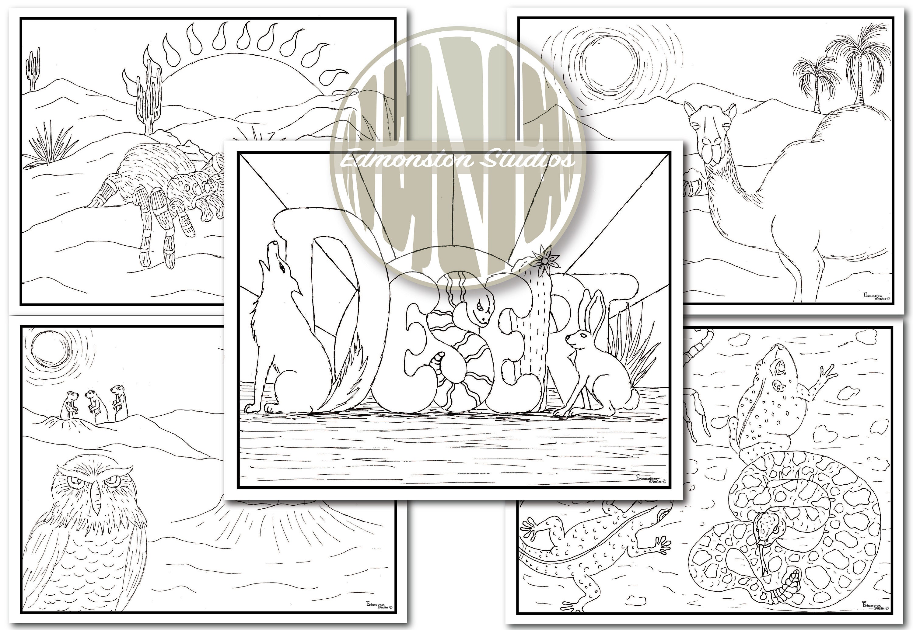 DESERT HABITAT Coloring Pages, 5 Coloring Sheets, Printable, Hand ...