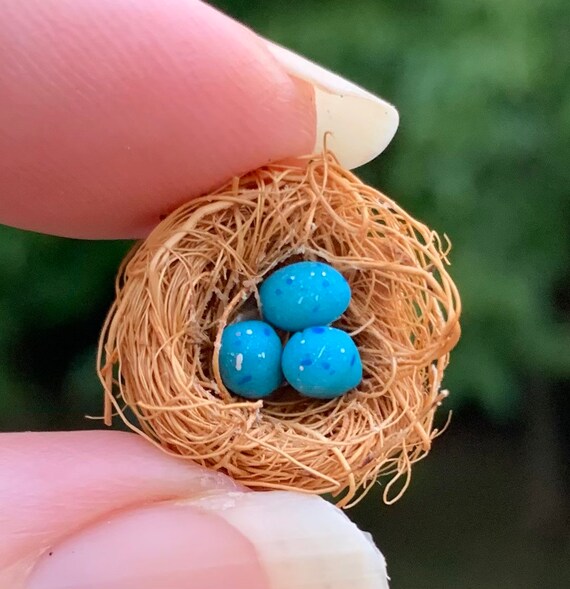 1:12 Miniature Bird Nest Bird Nest Robin Eggs Dollhouse - Etsy