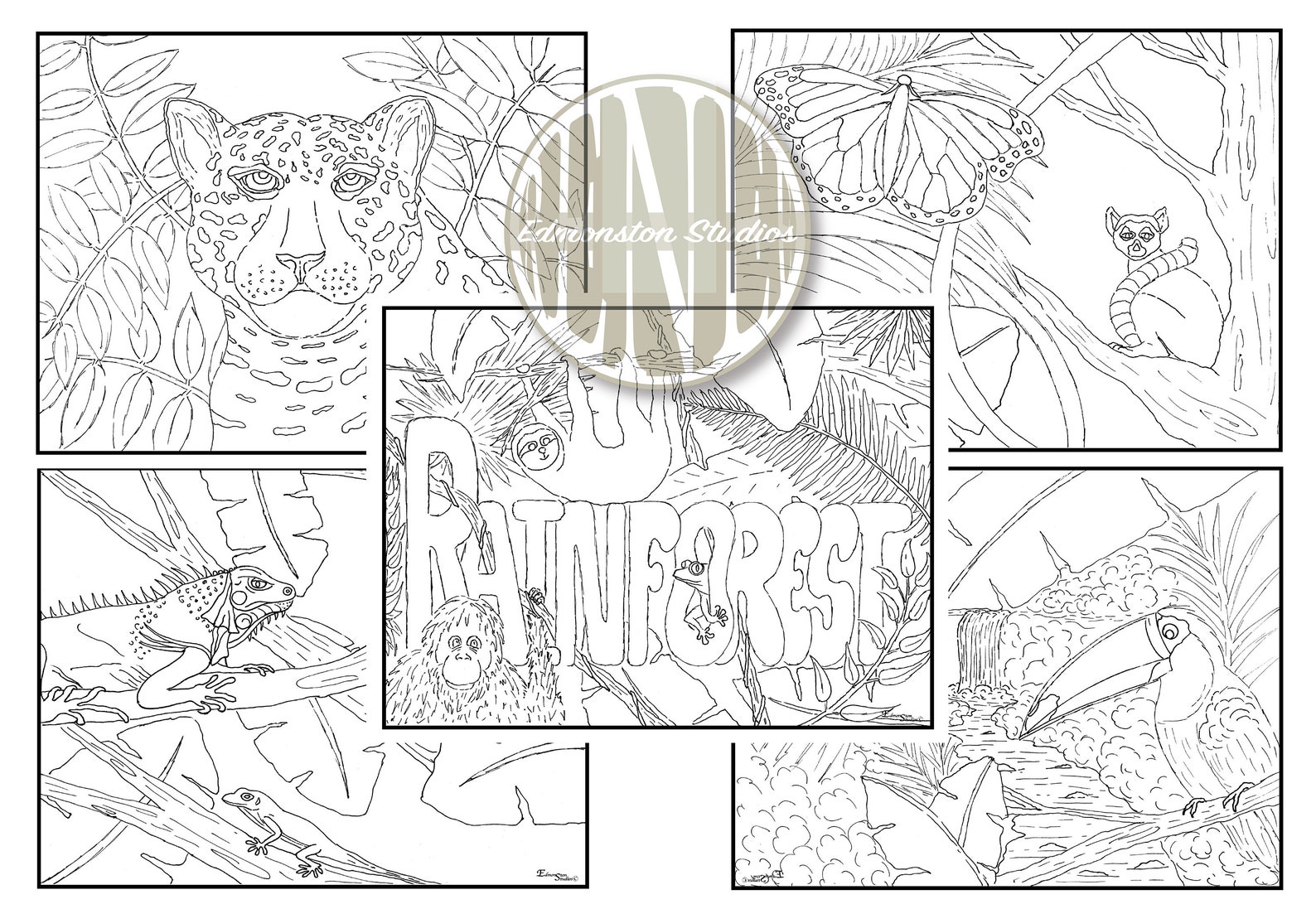 RAINFOREST HABITAT Coloring Pages, 5 Coloring Sheets, Printable, Hand Illustrated, Instant ...