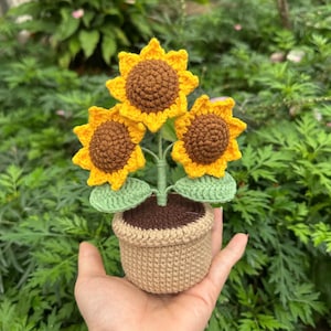 Crochet Sunflower In Pot, Blooming Sunflower, Handmade Sunflower, Gift For Her, Daily positive encouragement, Room Decoration, Flower
