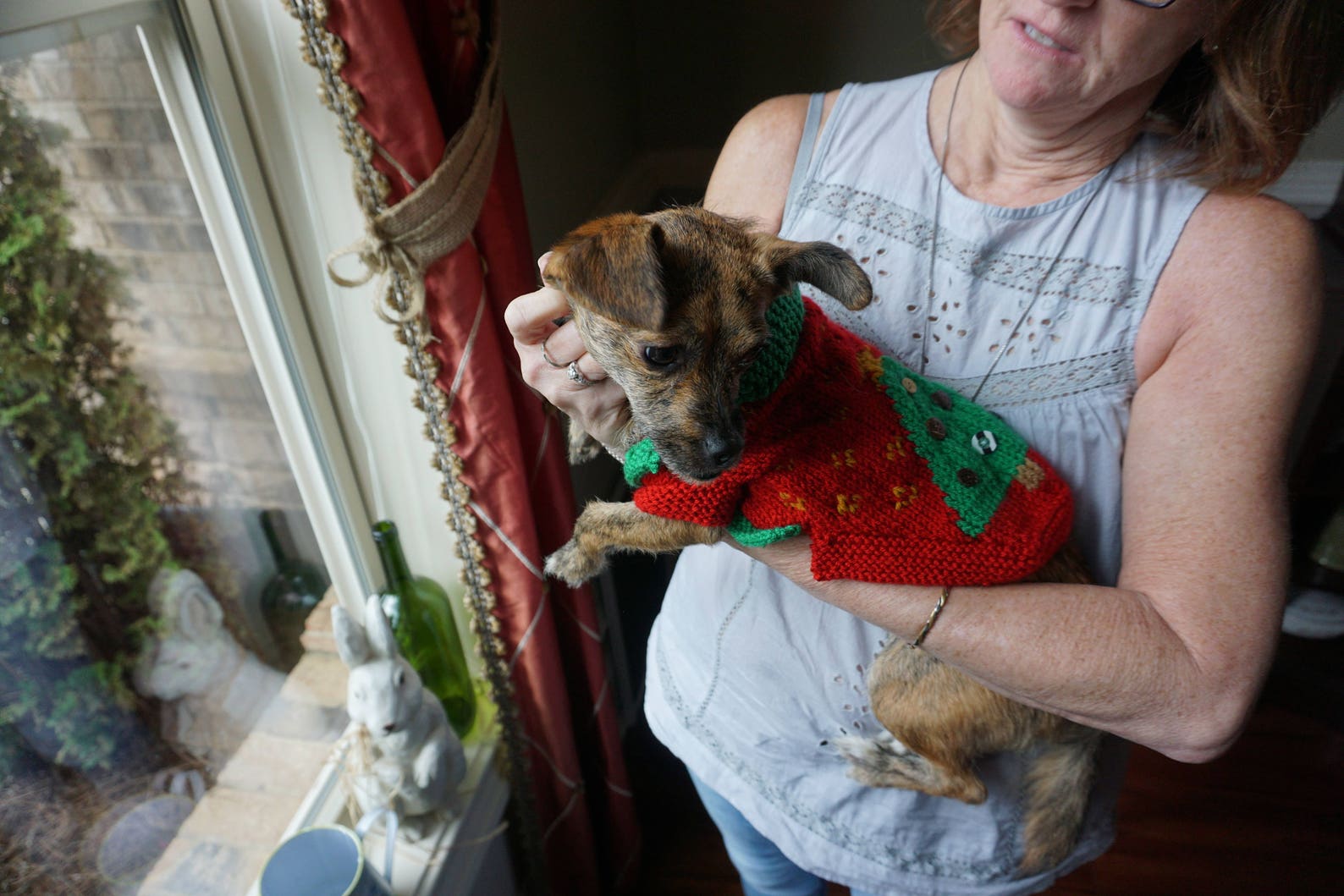 Tacky Christmas Dog Sweater Etsy